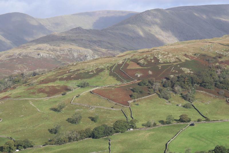Interesting patterns made from the distant stone walls.