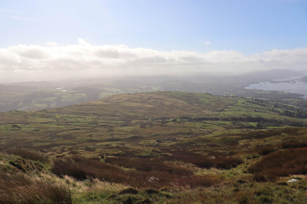 A view of distant hillside with tiny young trees.