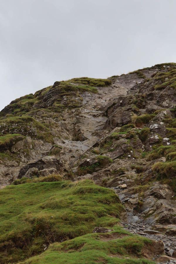 Looking up at some rough rocks and grass.