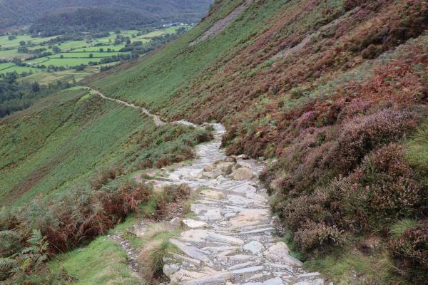 Stone steps winding down the hillside.