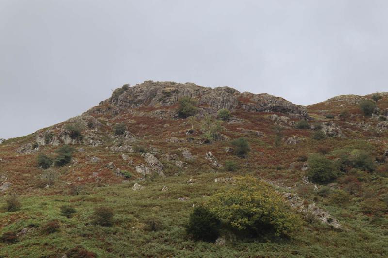 A rocky outcrop.