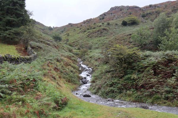 A rocky stream.
