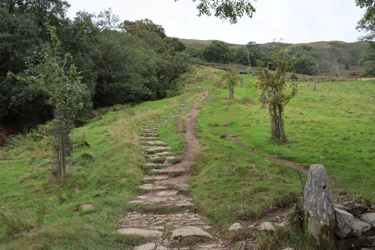 Stone steps ascending up the hill.