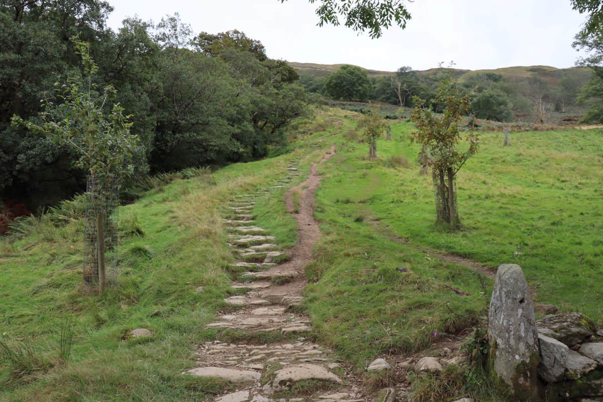Stone steps ascending up the hill.