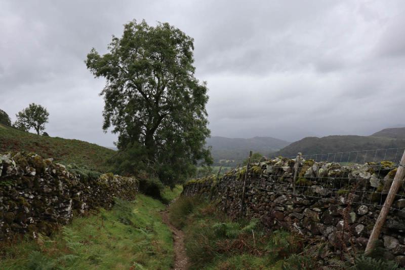An old track with stone walls on either side.
