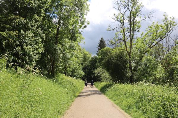 A straight gravel path surrounded by trees.